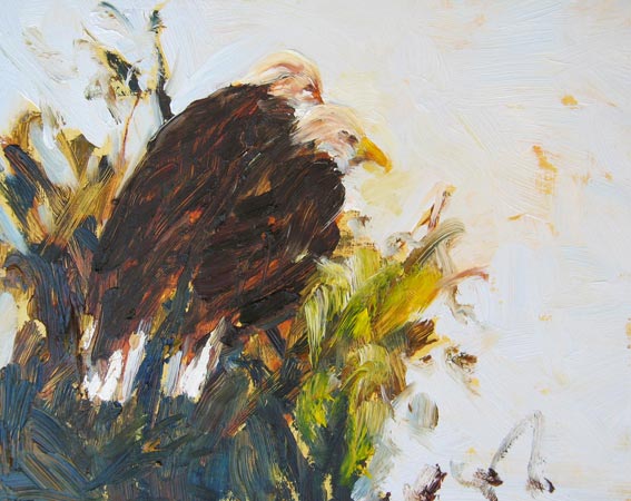 Joan Hoffmann - field paintings en plein air